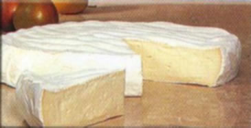 Queso Camembert